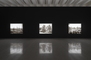Image: View of the exhibition Pao Houa Her: Paj qaum ntuj / Flowers of the Sky, 2022. Three large landscape photographs of Mount Shasta agriculture hang on a black wall directly ahead. Each image is in grayscale and lit from behind. Blurry inverses of the photographs are reflected on the marble floor of the gallery. Photo by Eric Mueller for Walker Art Center. Image courtesy Walker Art Center, Minneapolis.