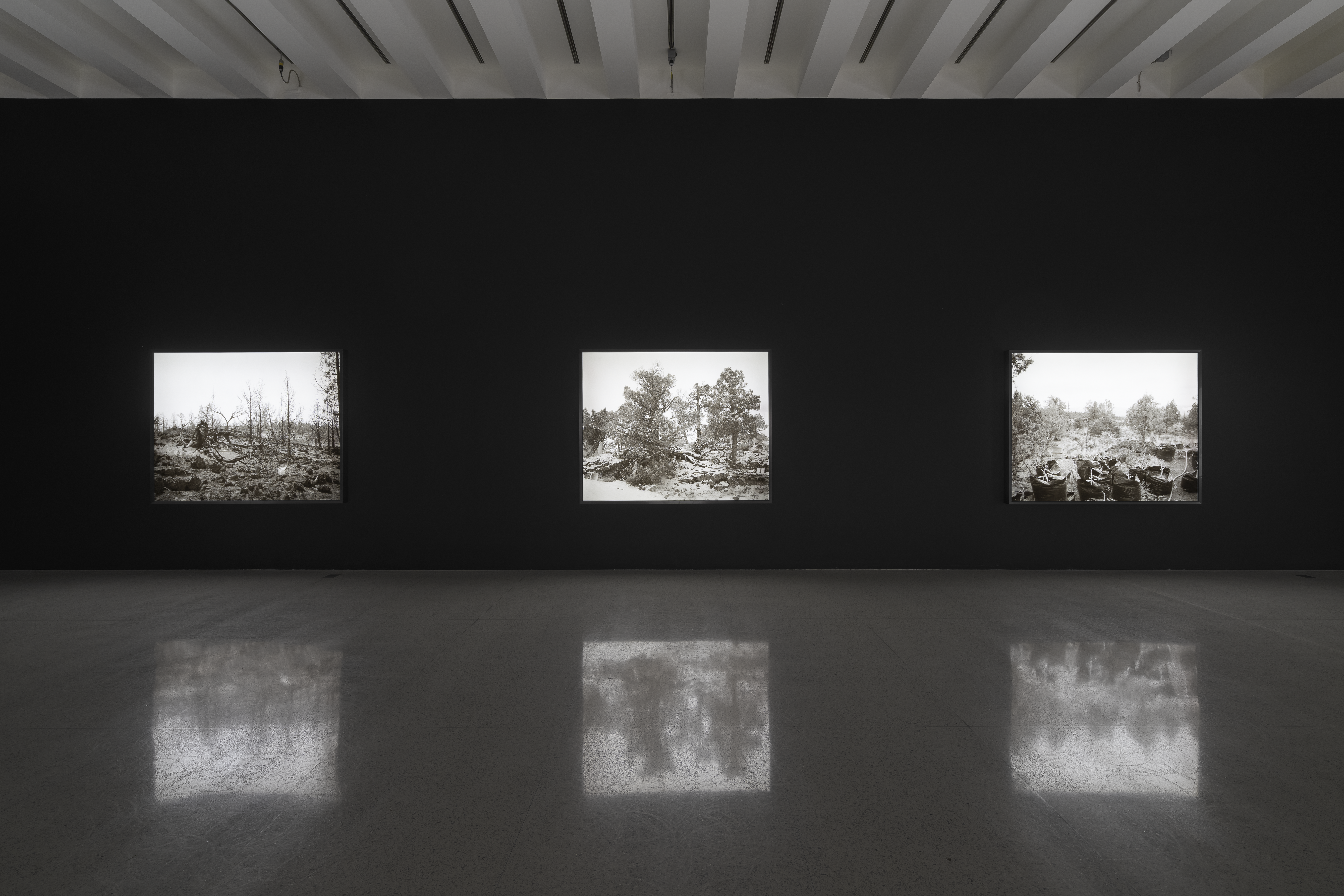 Image: View of the exhibition Pao Houa Her: Paj qaum ntuj / Flowers of the Sky, 2022. Three large landscape photographs of Mount Shasta agriculture hang on a black wall directly ahead. Each image is in grayscale and lit from behind. Blurry inverses of the photographs are reflected on the marble floor of the gallery. Photo by Eric Mueller for Walker Art Center. Image courtesy Walker Art Center, Minneapolis.