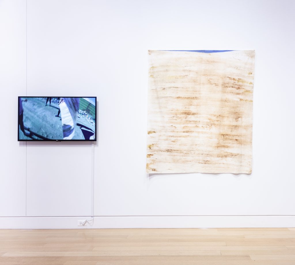 Image: Tanya Aguiñiga, America’s Wall (El muro de América), 2018. Installation view of a multimedia work. A video screen hangs on the wall on the left side of the image. Next to it, on the right, is a square piece of cotton fabric that has been colored with vinegar and rust. Media: Single-channel video, color, sound, cotton, vinegar, rust. Image courtesy of DePaul Art Museum, Art Acquisition Endowment Fund.