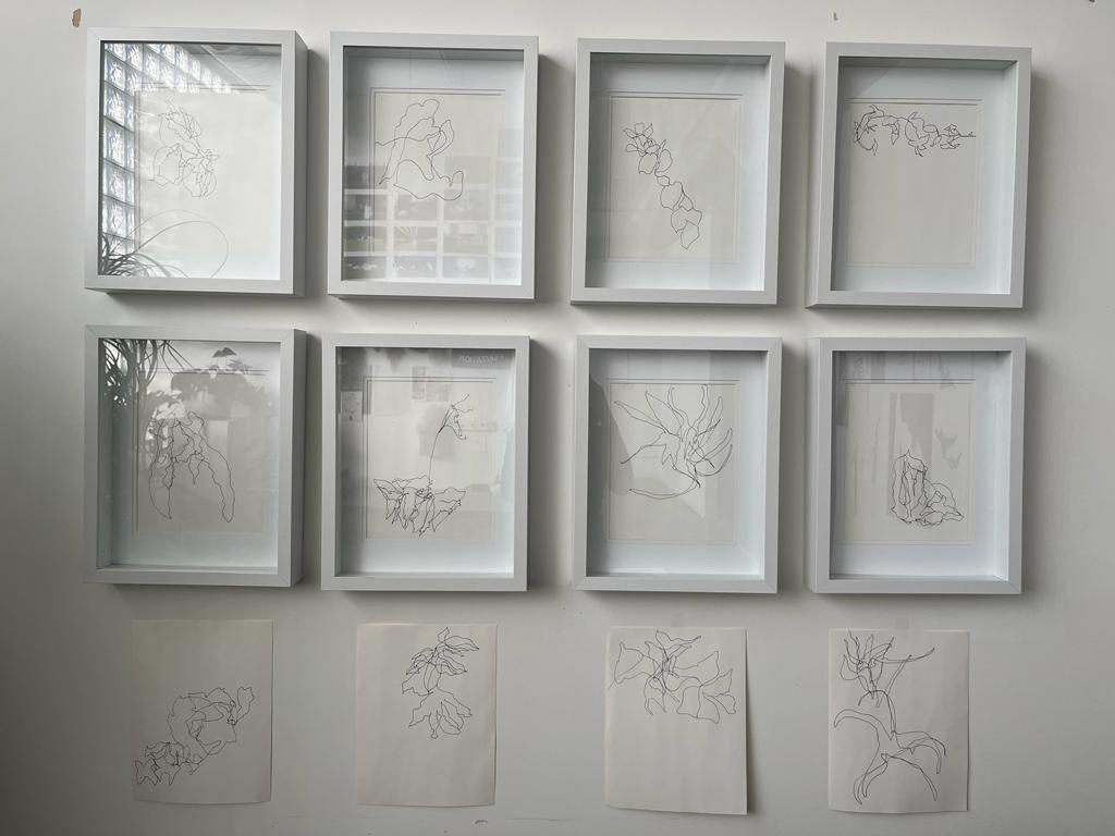 Image: Eight framed, sparse contour drawings above four unframed, sparse contour drawings. They're hung on a white wall. Image courtesy of Laleh Motlagh.