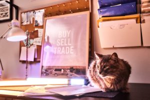 Image: A photograph of Charli and Gabe's home studio. Their cat, Blue, is squatting on their desk next to a copy of the script. There are folders, a tack board, and a poster of Buy Sell Trade on the wall. A desk lamp is lighting up the table on the left side of photo opposite the cat. Image by Sarah K. Joyce.
