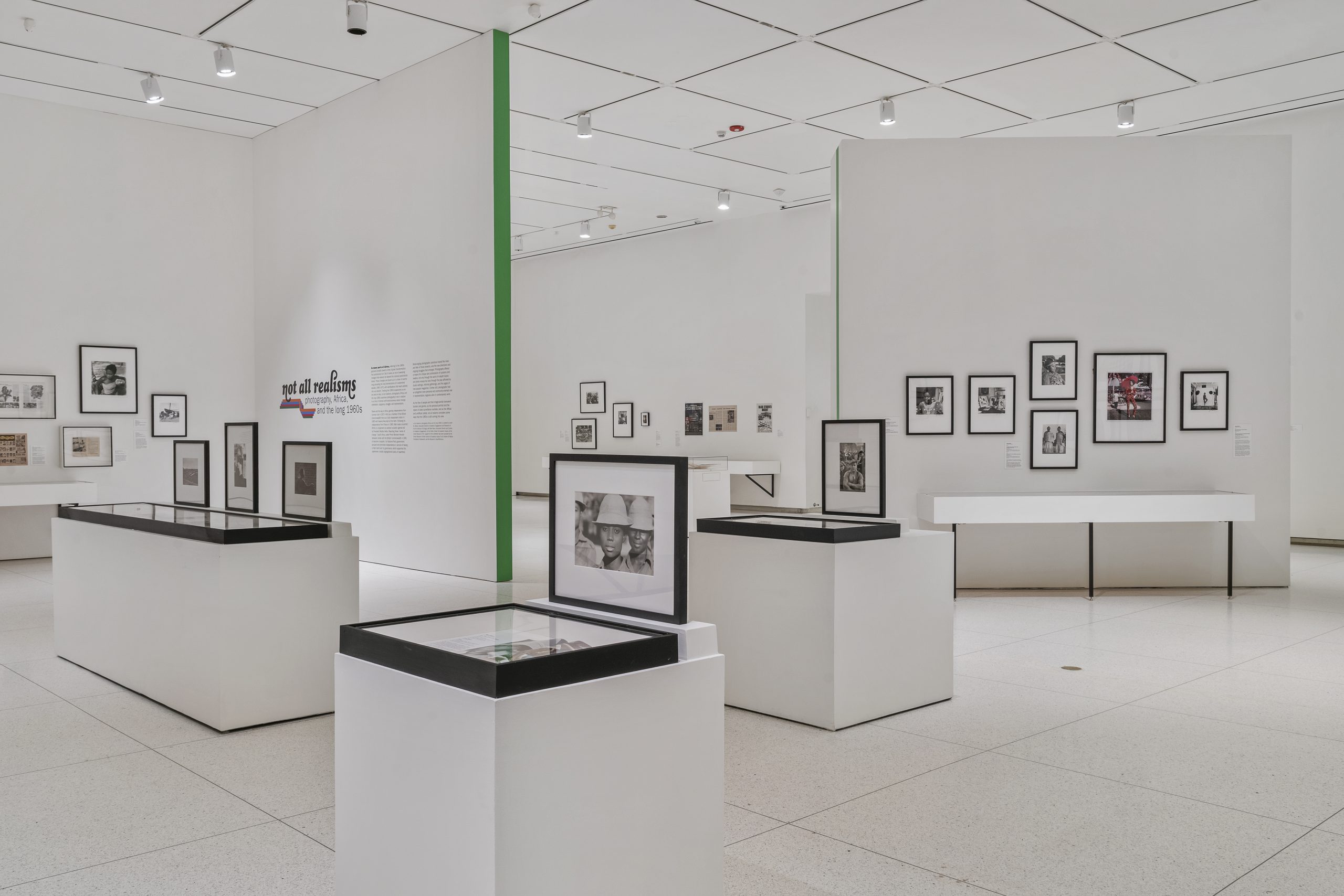 Image: Installation view of not all realisms with overlapping pedestals and walls featuring the show’s artwork.