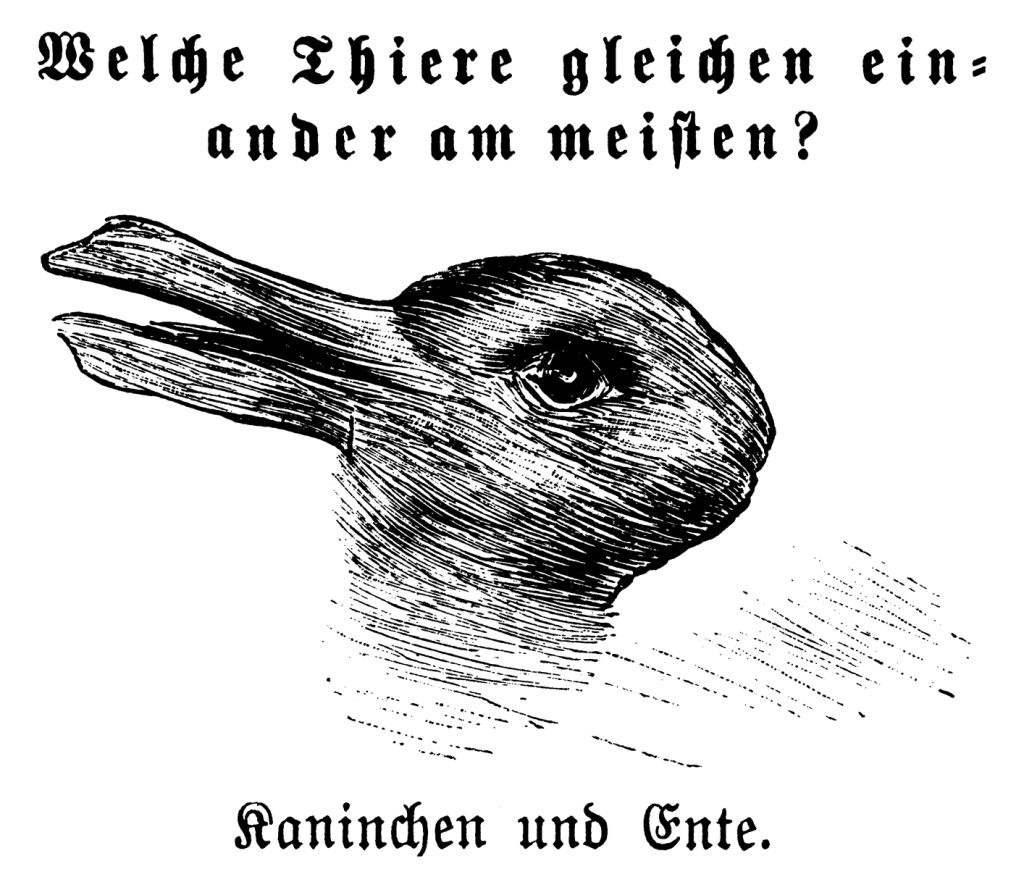 An optical-illusion illustration showing a rabbit-duck and accompanied with a question in German, "Which animals are most like each other?"