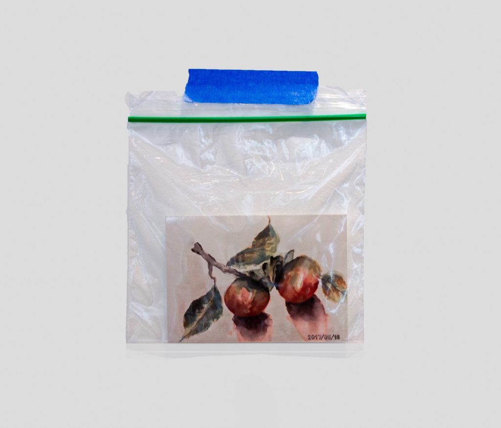 The source material for Horibuchi's Persimmons in Watercolor, a 4 x 6 photograph of her maternal grandmother Sayoko Yokoyama's original watercolor, is suspended in a ziplock baggie and taped to the wall. Image courtesy of Patron Gallery. Photographer Evan Jenkins.