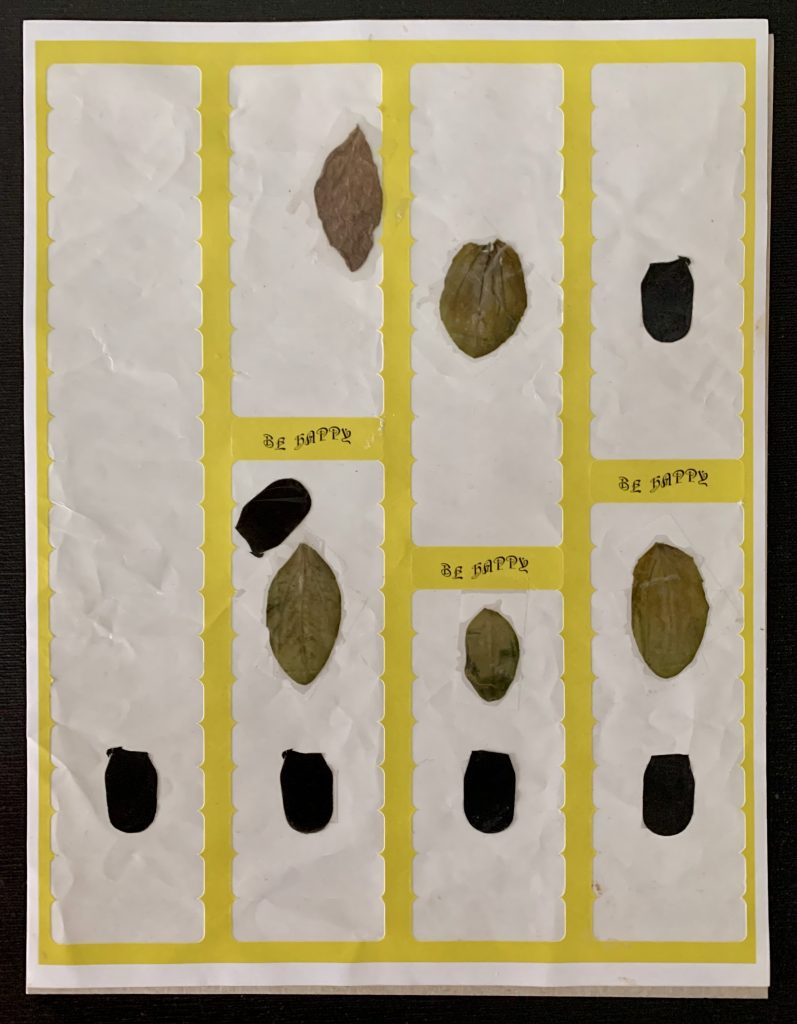 Image: An artwork by Thomas of no known title. Date not known. US letter size and made of an empty sticker label paper with remaining yellow borders, leaves and plastic. Photograph by Jin Lee.