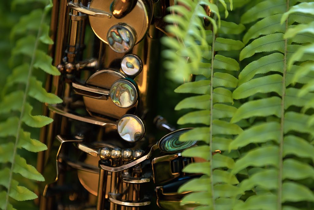 Image: The gold-plated and mother-of-pearl keys of a saxophone intermingle with fern leaves. Photo by Michael Sullivan. 