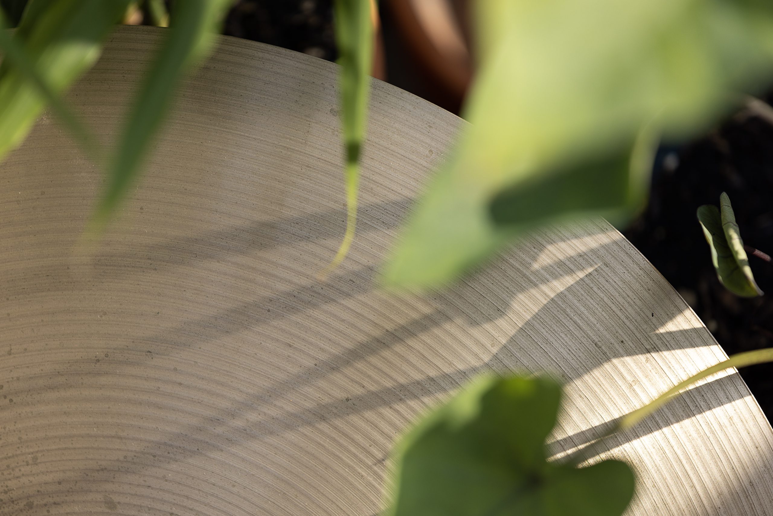 Image: The edge of a cymbal with a variety of leaves and grasses in the Experimental Sound Studio's garden. Photo by Michael Sullivan.