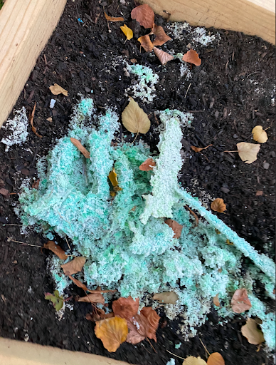 A mint green substance presented by Tavia David on top of a dirt box.