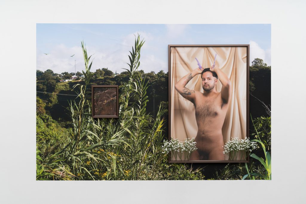 Image: Installation view of Martín Wanman's Cenizas de Oro, 2023 and El Venado, 2023 at Roots and Culture Contemporary Art Center. A golden framed nude picture of the artist holding light purple antlers hangs on another photograph, this one of grass. A framed picture of a bottle of fluids hangs to the left. Photography by Robert Chase Heishman.
