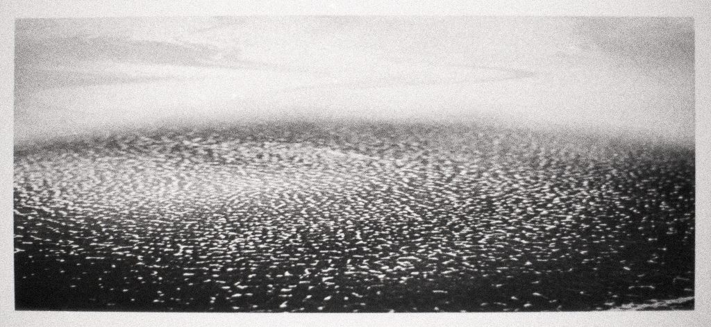 Image: Brittany Nelson, Solaris Ocean #2, 2023, unique silver gelatin print. A greyscale still from "Solaris" in which an ocean ripples before a foggy horizon. Image courtesy of Patron Gallery. 