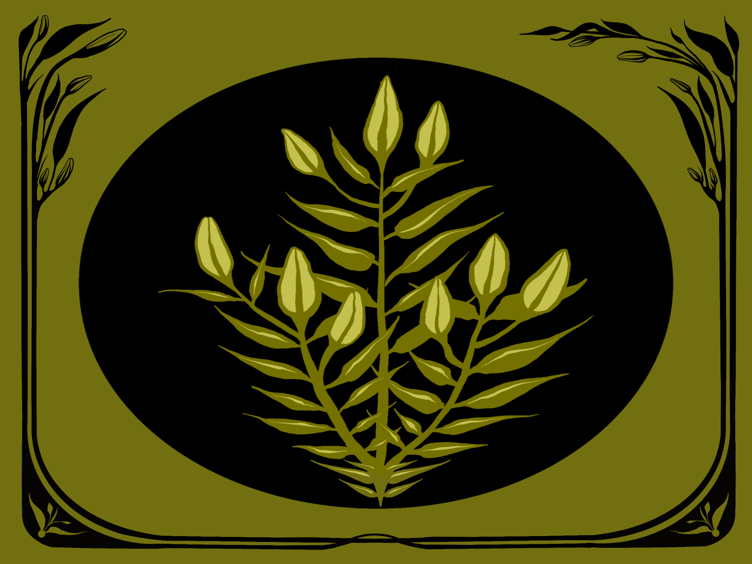 Image: An illustration of three milkweed stalks with three pods on the top of each leafy stalk stalk. The milkweed plant is set in a black oval, which is surrounded by an olive green background. Running across the bottom is black framing that then grows up the sides into flame-like leaves. Image by Summer Mills.