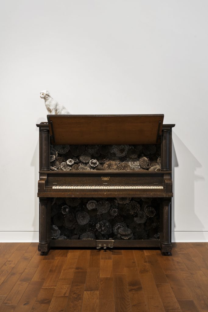 Image: Selva Aparicio, Time's Refrain, 2016–24, upright piano and reclaimed wasp nests, DePaul Art Museum. Courtesy of the artist. A white taxidermied cat sits on an upright piano, opened from the front. The piano is filled with wasp nests. Photo by Bob. 