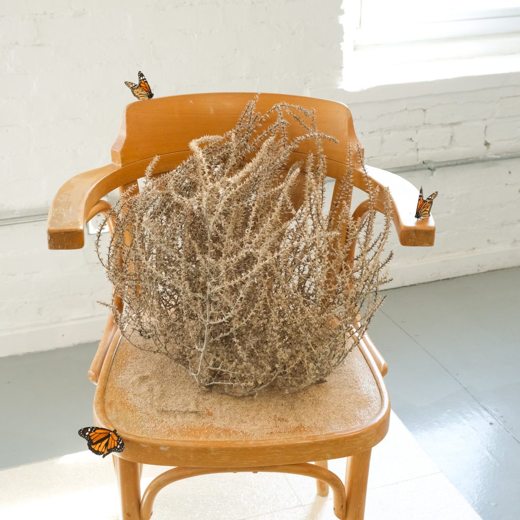 Image: Front-facing view of Andrew Mcilvaine's When the Tumbleweed Sits, installed on a grey wooden floor Tumbleweed, wooden chair, sand, and ripped cathedral glass. Three monarch butterflies are placed on different spots of the chair: the seat, arm rest and one on of the top of the backrest. In the seat of the chair is a tumbleweed. Image courtesy of the artist.