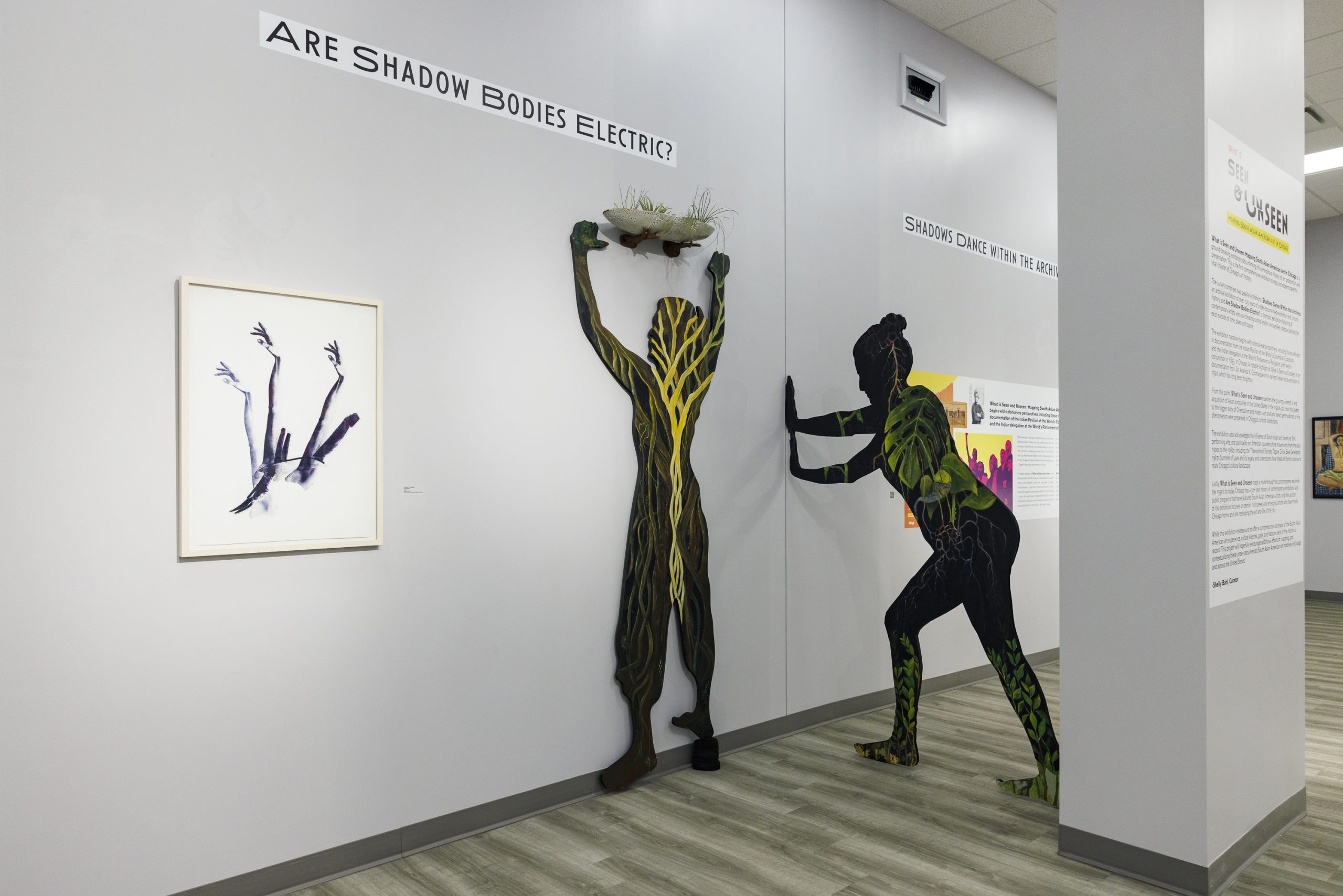 Glimmering Among the Shadows — a review of What is Seen and Unseen: Mapping South Asian American Art in Chicago