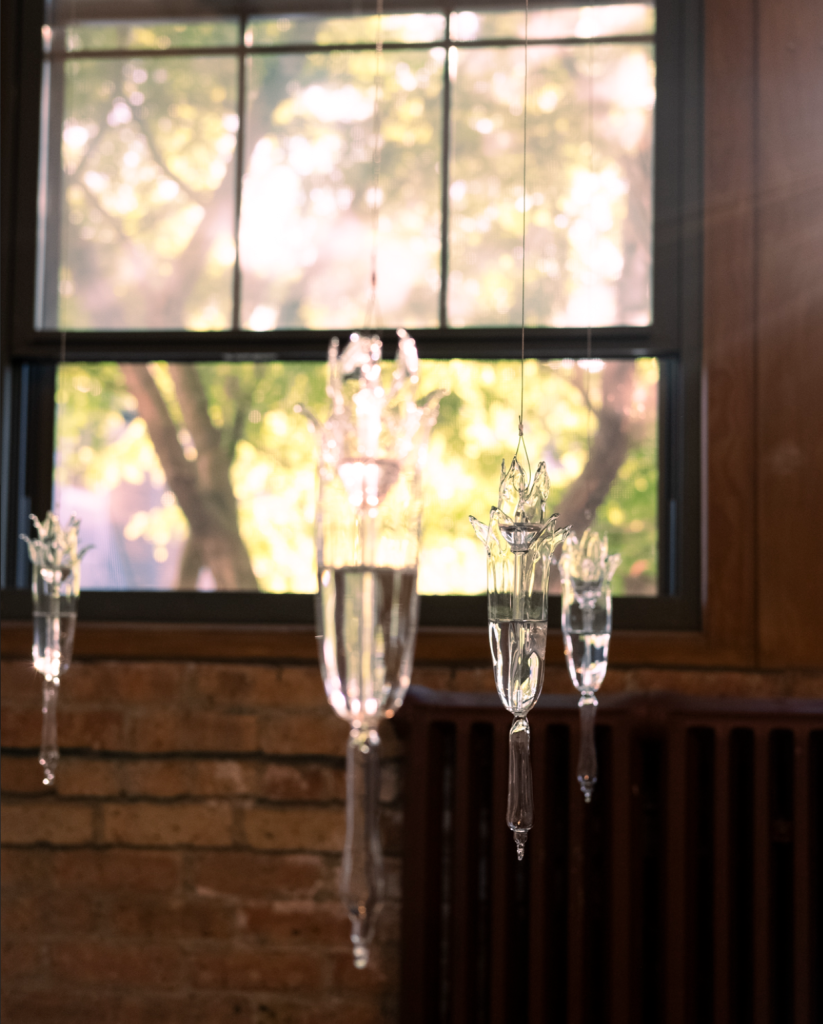 Image: Mariana Noreña, Frailejon Centro de agua, 2024. Blown glass, water and soil. Against a brick wall with a window revealing trees on a sunny day, four glass vials with water in them hang in the air, suspended by wire. All of them are approximately the same shape, with a finger-like appendage at the bottom of the vessel and a flower-like crown at their top. The water fills roughly half of each. One is foregrounded and out of focus. Two more close and behind it. The last one is in the back left of the photo. Photo by Kat Bawden.