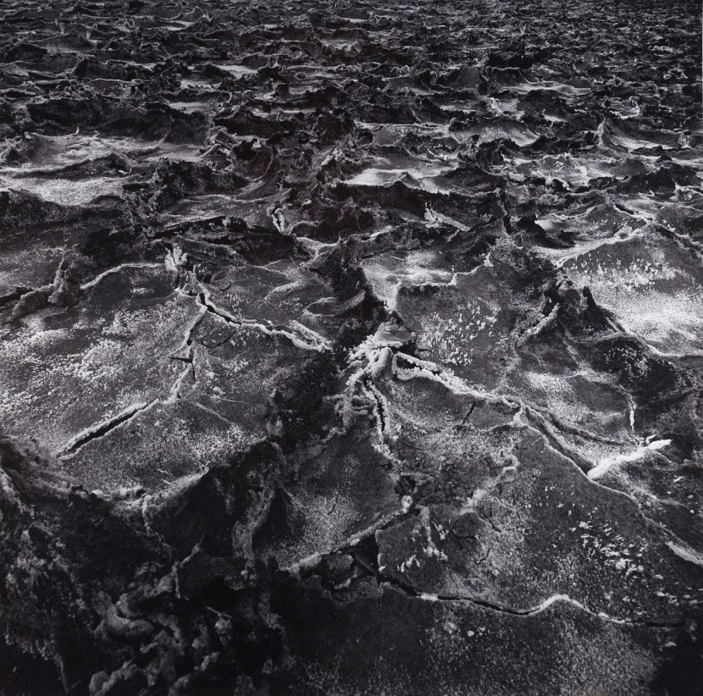 Image: Alan Cohen, In Situ (Death Valley - California) 105- 03, from the Earth with Meaning series, 2002, gelatin silver print. Collection of the Museum of Contemporary Photography.  A greyscale grainy image of ruptured earth, cracking as far as we can see. Image courtesy of MoCP.