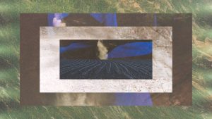 Image: Layered collage images depicting detail images of the natural world such as leaves and bark, layered as four rectangles centered horizontally with each layer decreasing in size. The center image of a blue tinted farm land. Image by Damiane Nickles.