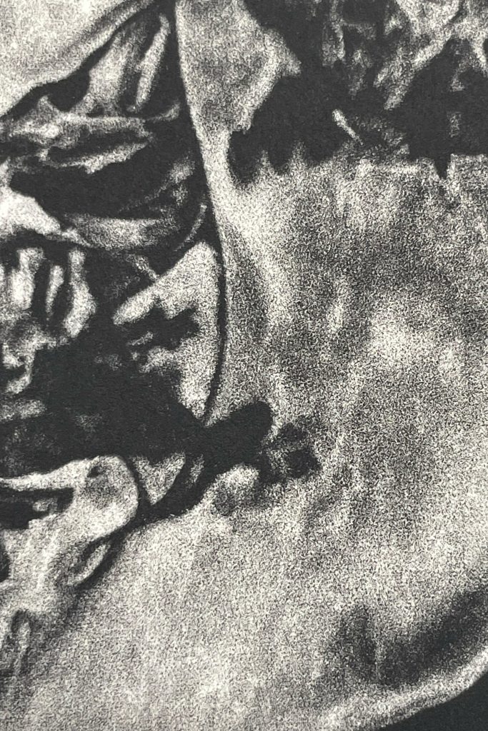 Image: Interior image from chapter ten of Genocide House. Chapter one's detail image shows a close up of the spine of a skeleton's skull. Image derived from the cover image.