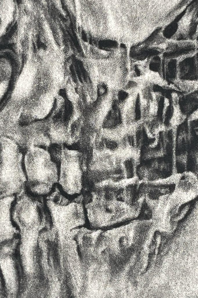 Image: Interior image from chapter one of Genocide House. Close up detail passage from one of nine successive mezzotint state impressions. Chapter one's detail image shows a close up of the jaw of a skeleton's skull derived from the cover image.

Notes on production: In the mezzotint printmaking process, a copper plate is first prepared with a semicircular, toothed chisel to hold a field of ink. The image is developed by scraping and burnishing into the surface of the plate, so that areas may express a range of tones. In this sequence of nine state impressions, the plate is further scraped down between printing, resulting in a thinning and softening of the tonal image. This gradual wearing down of the material by handheld tools alongside the expected wear and degradation of a mezzotint plate printed many times over yields atmospheric, abstract passages. This piece addresses the physical lifespan of the medium itself as well as the impermanence of the human body. All image by Devon Stackonis. All images courtesy Bridge Books.