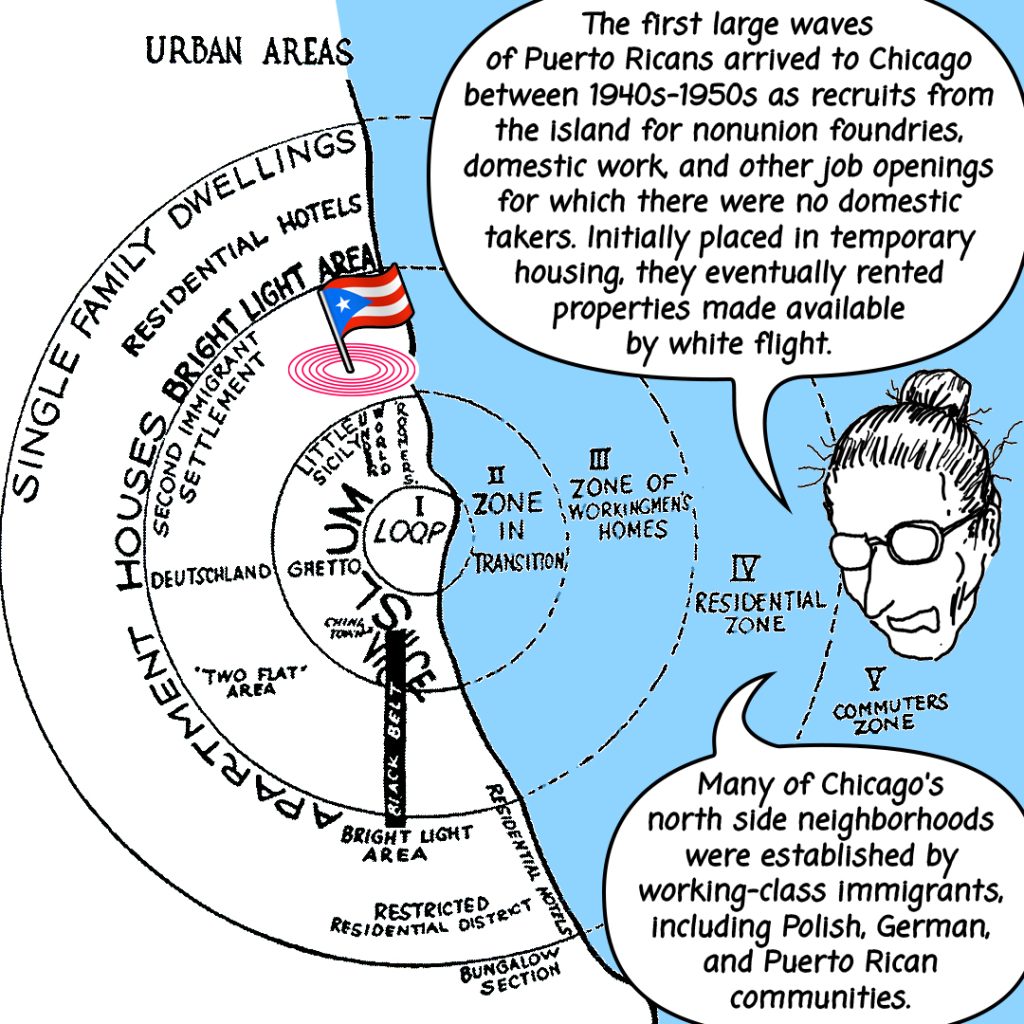 Image: a map showing city zones in transition with an illustrated Tio explaining, "The first large waves of Puerto Ricans arrived to Chicago between 1940's-1950's as recruits from the island for nonunion foundries, domestic work, and other job openings for which there were no domestic takers. Initially placed in temporary housing, they eventually rented properties made available by white flight. Many of Chicago's north side neighborhoods were established by working-class immigrants, including Polish, German, and Puerto Rican communities." The map shows a Puerto Rican Flag in the third zone of workingmen's homes. 