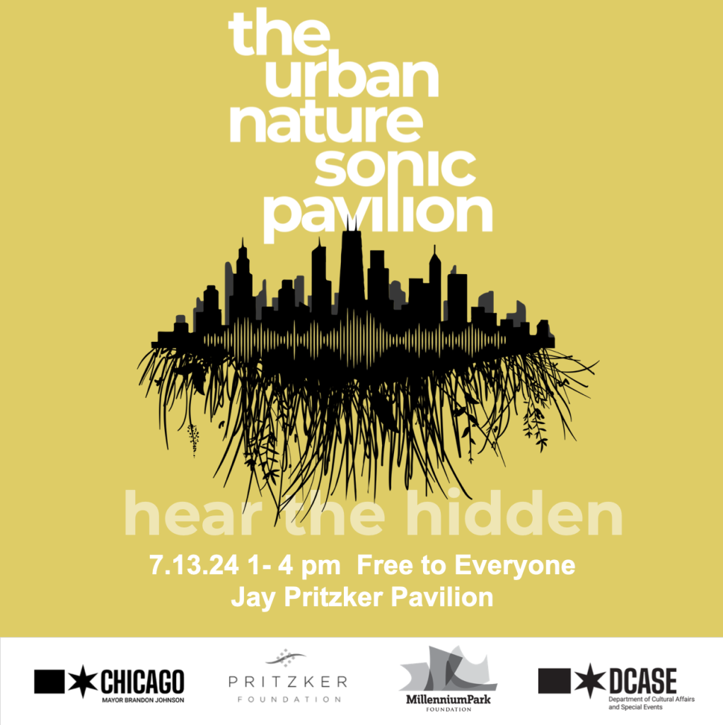 Image: Promotional graphic for the UNSP which includes the title of the event and a graphic image of a city skyline, conjoined with grasses below and an overlay of soundwaves layered over the earth where the two meet on a dark yellow background. The slogan "hear the hidden" is under the grass and above the logistical info for the event. 