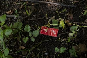 Image: A close to the ground photo of dirt and shrubs. In the center are a bright red packaged pair of condoms with the word "LOVE" in white across them. Photo by Joshua Clay Johnson.