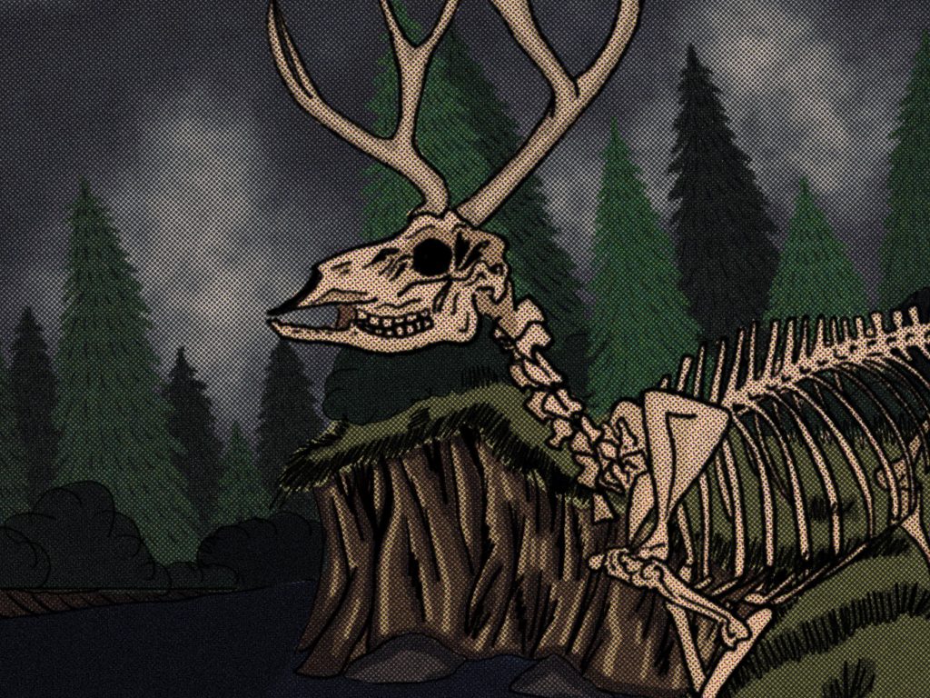 Image: An antlered deer skeleton overlooks a body of water and cliff face. Pine trees fill the background. A dark sky behind it all. Illustration by Sammi Crowley.