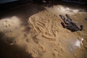 Image: An image from the dance piece Territory and People showing the stage sans the dancers. On the stage sand is shown strewn with imprints of the human body and a full body garment is laid on top of the sand towards the top right corner of the image. Image by Mallory Qiu.