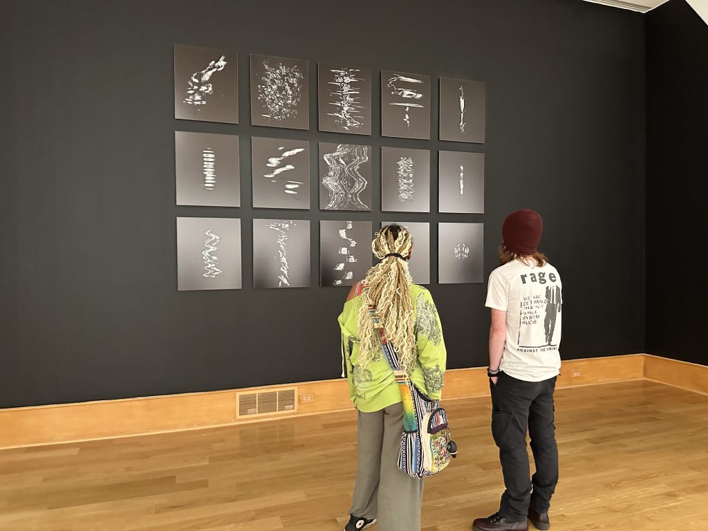 Image: A photograph of two visitors looking at artworks from the Diaspora Herbarium series
2021 - ongoing. Archival inkjet prints. Image courtesy of the Des Moines Art Center. 