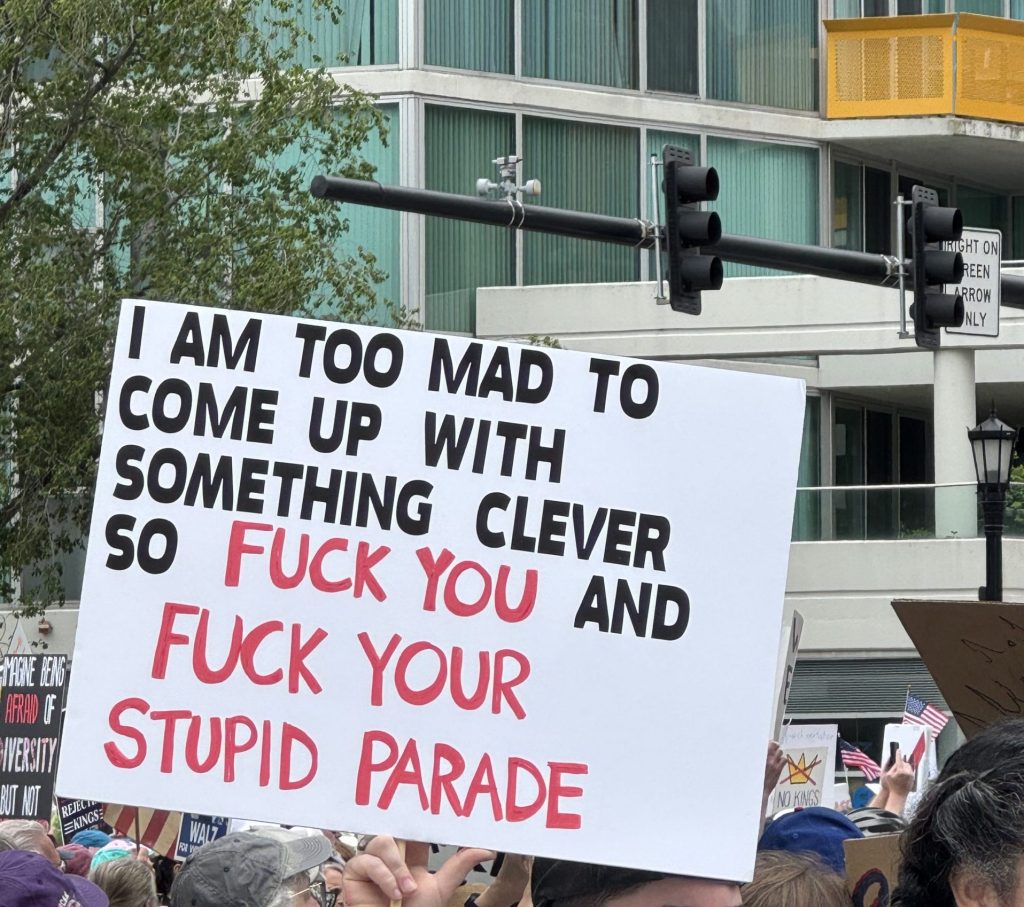 Image: A sign emerges in the foreground being held by a protestor saying, "I am too mad to come up with something clever so fuck you and fuck your stupid parade." Image courtesy of the author.