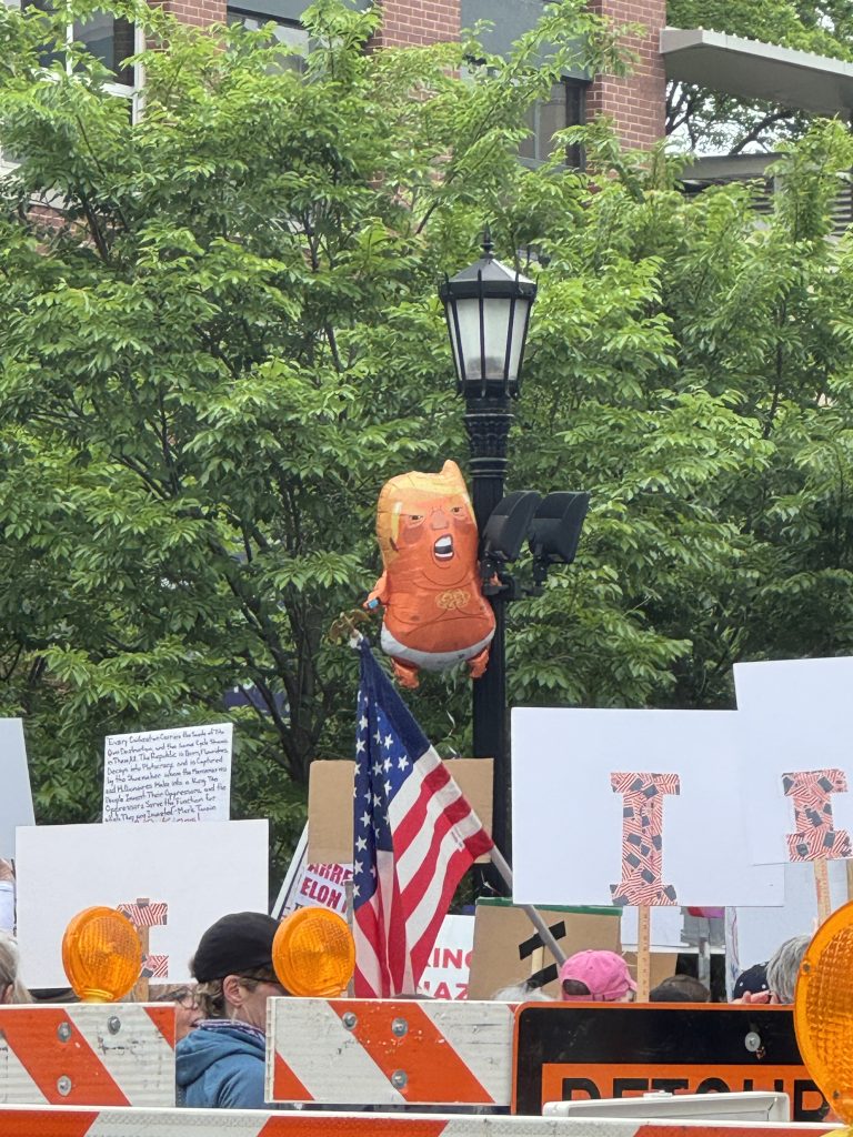 Image: An array of protest signs, an American flag, and a balloon of a baby version of Donald Trump floats above it all. Image courtesy of the author.
