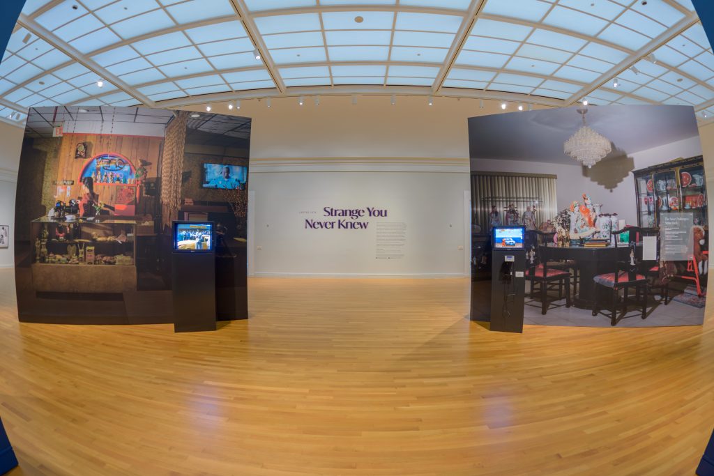 Images: (Left) Strange You Never Knew, 2025. Gallery view of the exhibition Strange You Never Knew. Photo credit: Charles Edwards. Images courtesy of the University of Michigan Museum of Art.
