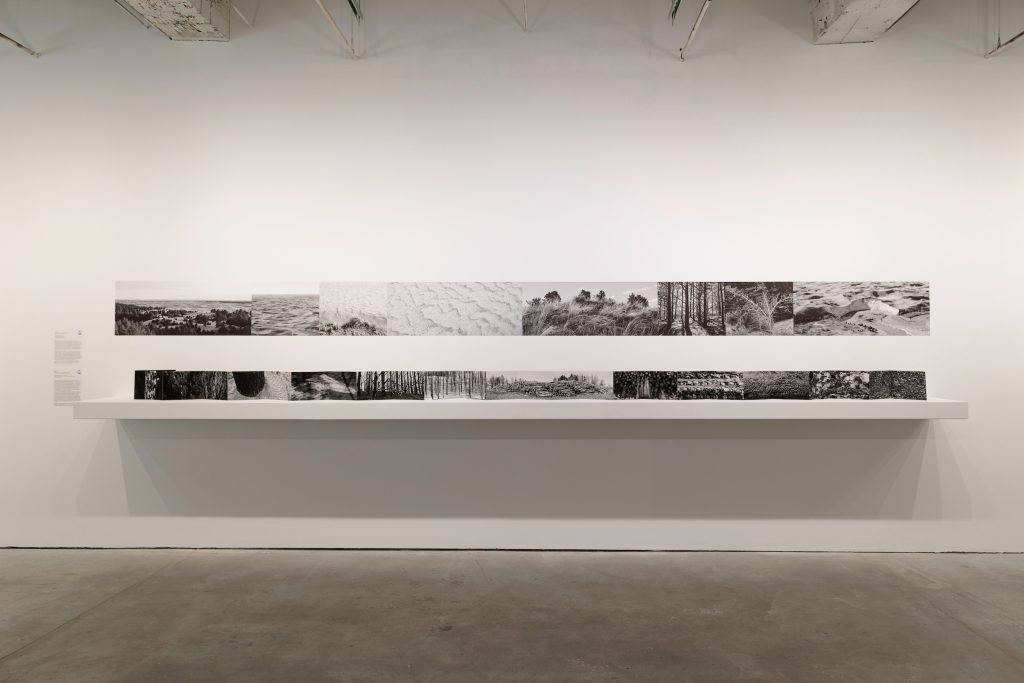 Image: Installation view of Dana Fritz's Post-fire Postscript, 2024, archival pigment prints, glue, and Field Guide to a Hybrid Landscape, 2025, Inkjet printed adhesive fabric. Courtesy of the artist. Image courtesy Bemis Center for Contemporary Arts. Photo by Colin Conces.