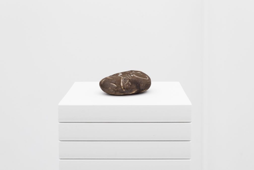 Image: transformación, 2024. Installation view, "A toxin threatens, but it also beckons," Gallery 400. Seabed stone on a white striped pedestal. Image courtesy of Prairie, Chicago.