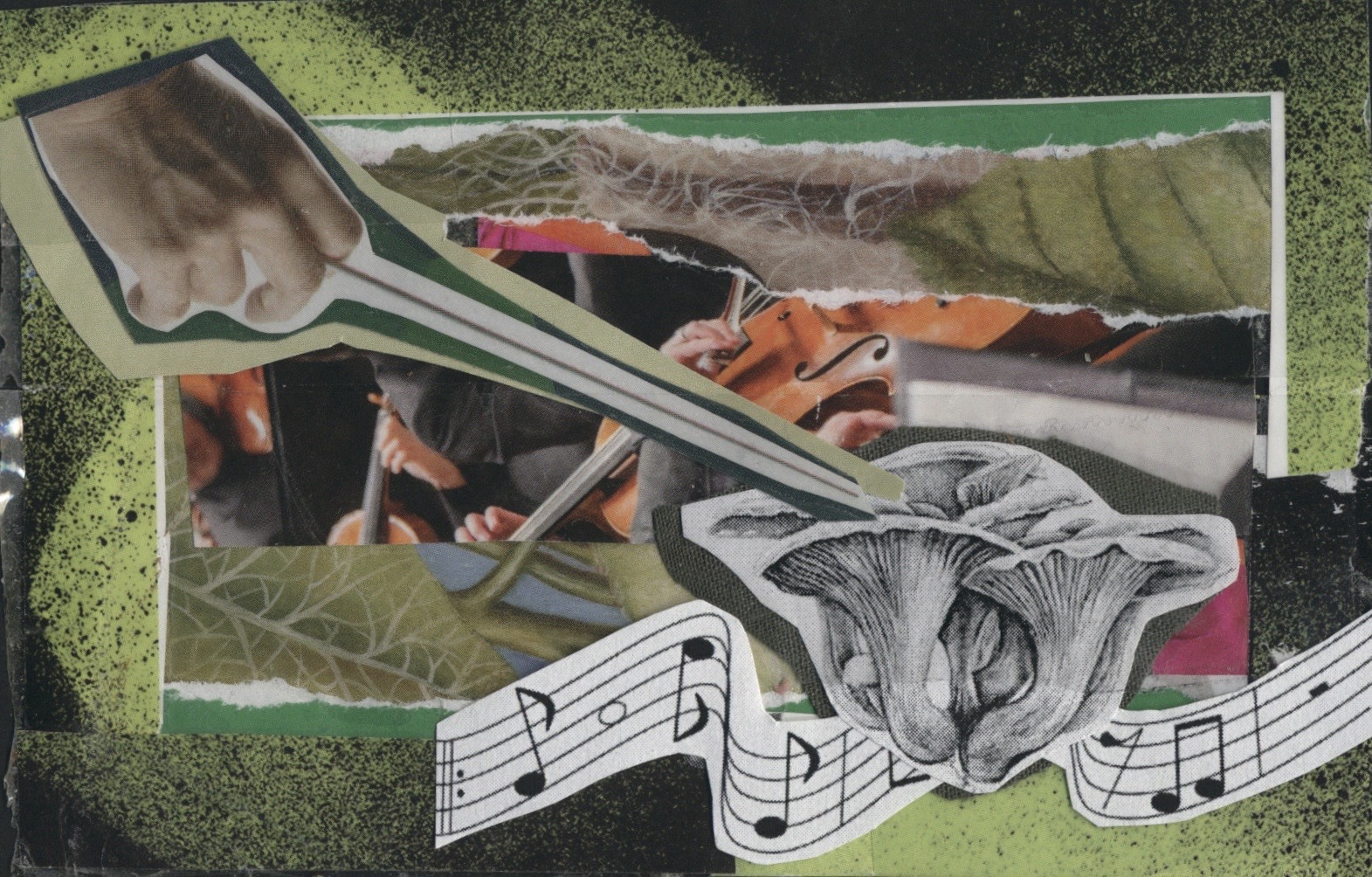 Image: An analog paper collage that features a textured black-and-green background/ At the center is an image featuring imagery of leaves and foliage layered underneath torn image fragments of natural foliage, a violin orchestra. At the top left is an orchestra conductor’s hand pointing a conductor baton toward a mushroom that features music notes beneath it. Image created by Bri Robinson.