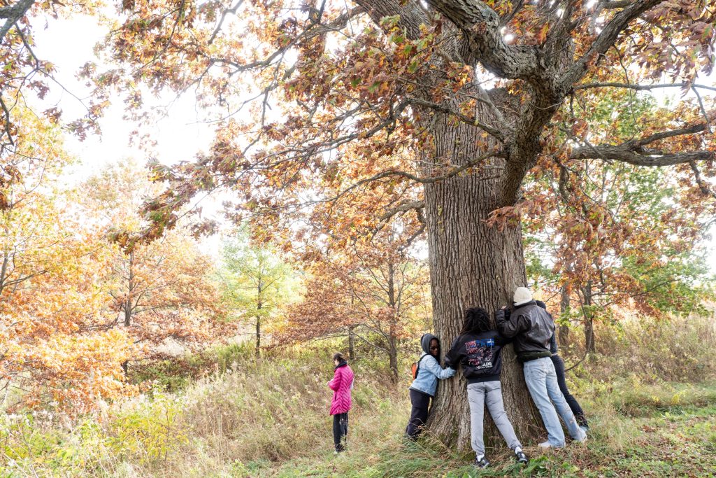 Savannah Sanctuary in Dodgeville, WI. A large tree with huge branches reaching towards the camera is featured in this image. Its green leaves are changing to brown as fall approaches. Four participants are seen linking arms and hugging the tree trunk. A separate participant, who wears a pink coat, stands off to the side in the tall prairie grass that surrounds the tree. In the background are more prairie grasses and trees with leaves changing from green to yellow, orange, red, and brown. Photo by and courtesy of Max Li.
