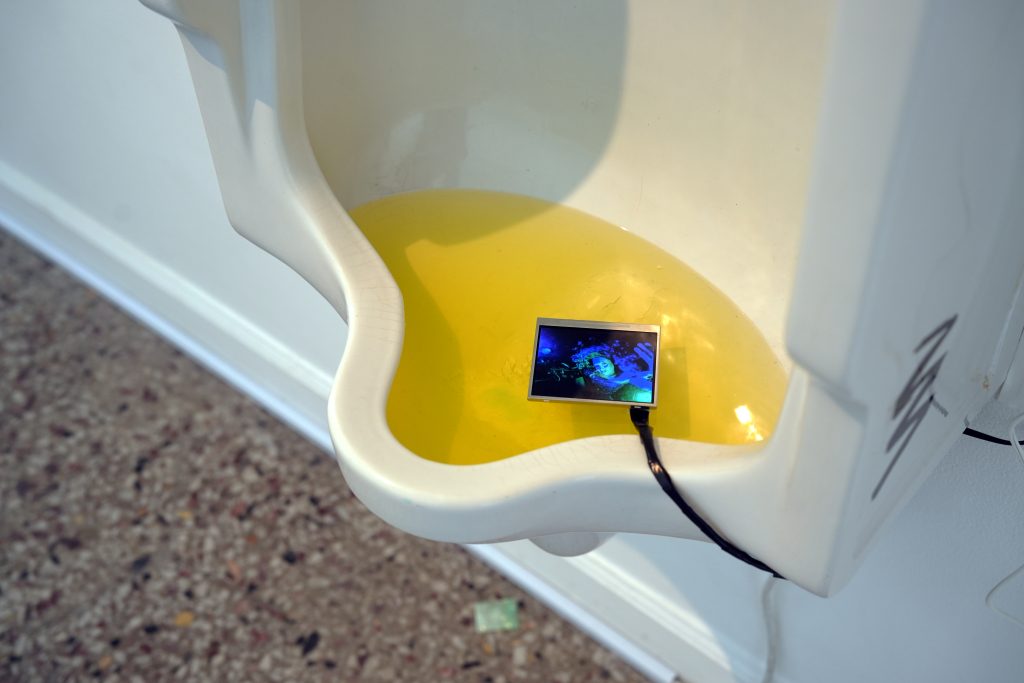 Image: Ále Campos, downward gaze, (2025). A urinal is filled with yellow piss and a small LED video screen floats on top. Photo courtesy of the artist.
