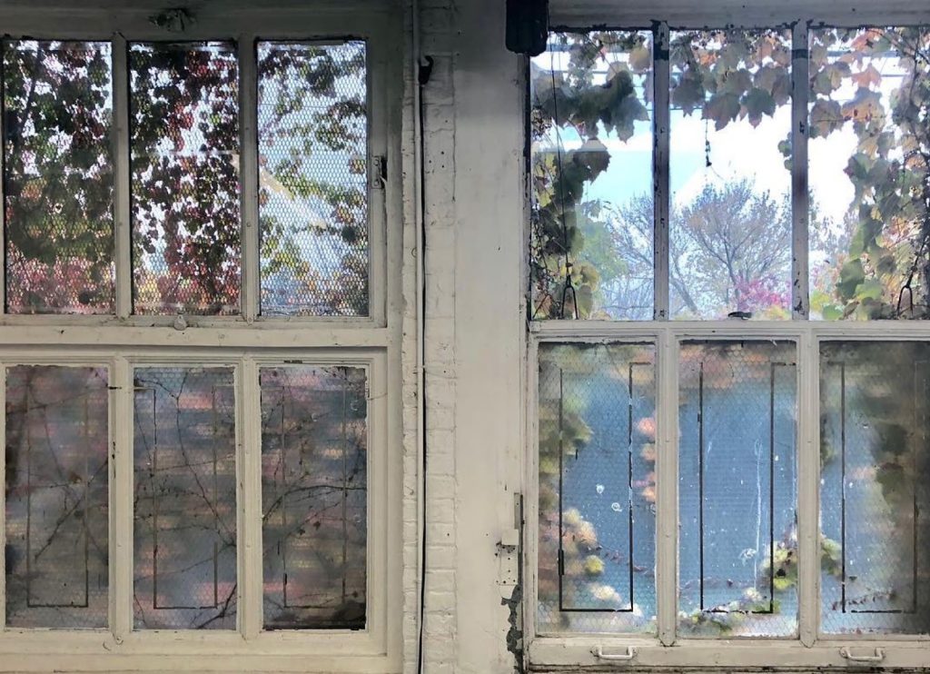 A view through the rear windows at Goldfinch. Two windows, side by side, each have six panes. Frosted glass covers the bottom panes making it hard to see out. White paint is chipping all around. The view outside is obstructed by the colorful pinks and greens from the ivy leaves that have crept up. In the distance are large trees and a sun-lit sky. Photo by Bill Conger. Courtesy of Goldfinch.