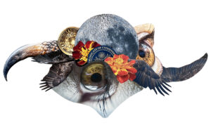 A digital collage of two human eyes, the moon, bird talons, bird wings, a gold medallion, marigolds, and a passport seal.