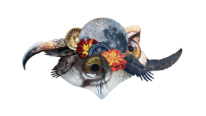 A digital collage of two human eyes, the moon, bird talons, bird wings, a gold medallion, marigolds, and a passport seal.