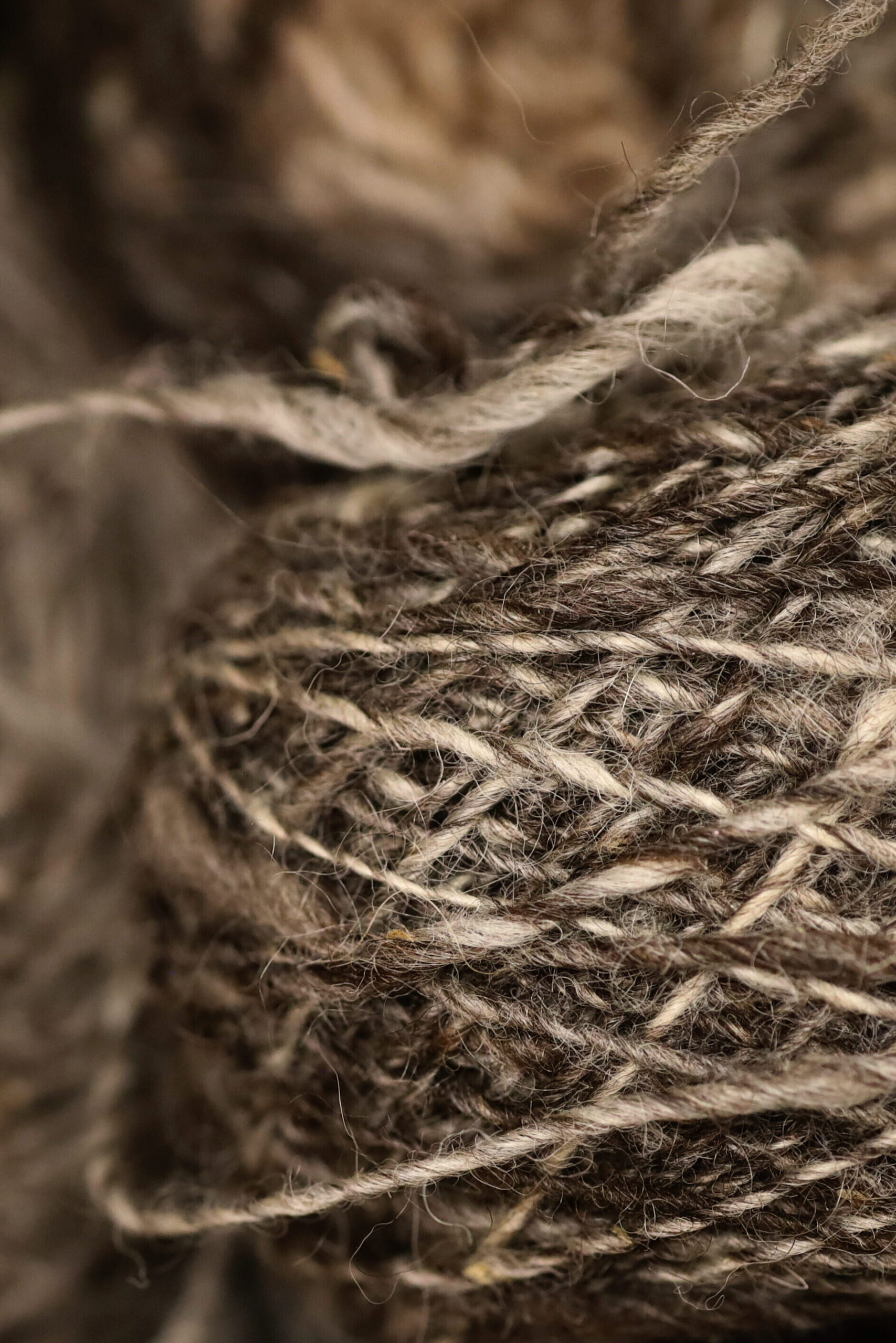 A close-up photograph of a spool of yarn. Image by Viki Stark. 