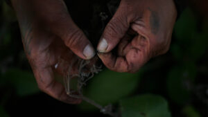 Image: A close-up on pair of hands against a dark backdrop. The thumb and pointer finger of one hand delicately touches the thumb of the opposite hand while holding a string-like material. Residue from the material has rubbed off onto the fingernails. Photo by na forest lim.