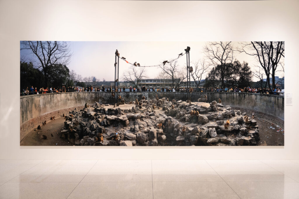Installation image of Beyond Boundaries: Three Decades of Contemporary Chinese Art
at the Smart, 2026. Image by Faye Yingfei Liang, ©Faye Yingfei Liang.