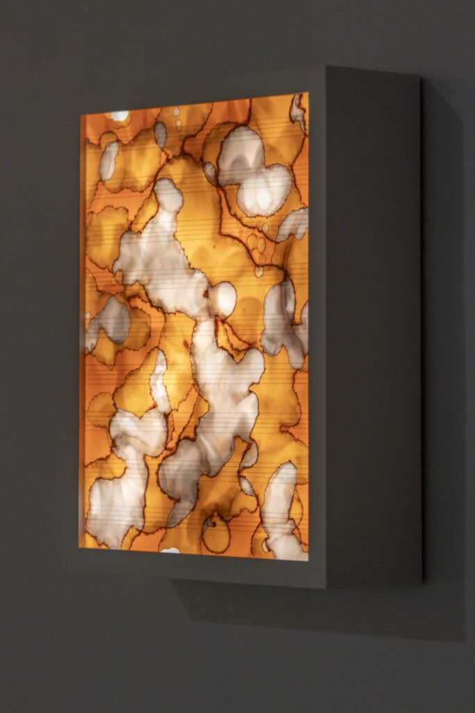 Adda Farcus, Score for Ames Meeks, graphite and soot on vellum, lighting gel, light box, 2026. A close up of a small, rectangular light box hung on the gallery wall. Various colors of orange, white, and brown are illuminated. Dark lines run throughout the piece. Image courtesy of Adda Farcus. Photograph by Jade Minh-ha Nguyen.