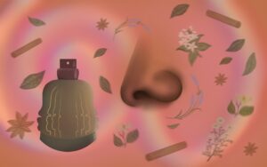 Image: An illustration shows a nose on the middle right and a perfume bottle on the middle left against a peach background.. Wisps of leaves, flowers, cinnamon sticks, and other natural sources of scents can be seen across the composition. Illustration by India Hines.