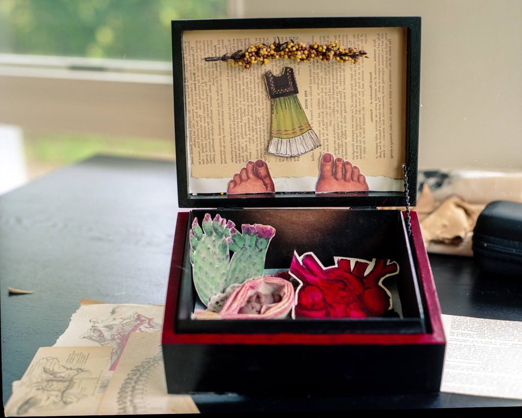 A black cigar box that has been repurposed to make a retablo as part of an altar to Frida Kahlo. A page of a book has been pasted to the inside top of the box, and there is a dried branch with white and red berries glued to the top and a cut out of a sleeveless dress above a glimpse of a cut out pair of feet showing 10 toes. Inside the box there are bright green cacti with pink flowers on the leaves that mimic the toenails in the feet above. There is also a cut-out representation of a dark red anatomical heart, next to some neatly folded items. Photograph by Genesis Falls.